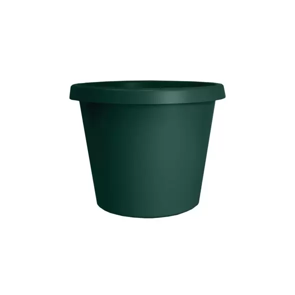 HC 12" Prima Planter Evergreen