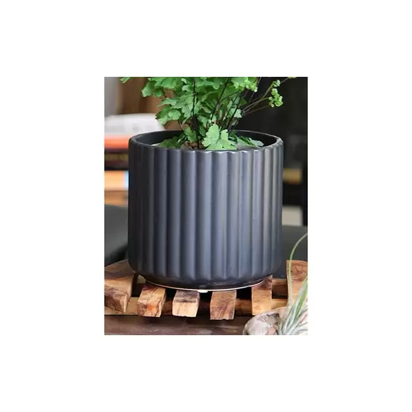 Palm Spring 5.5" Brush Comb Mbk Planter