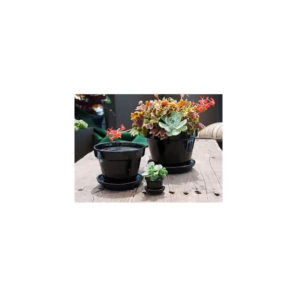 Verandah 8x6.5 Standard with Saucer Black