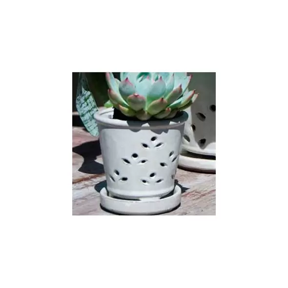Verandah 7.5" Wsp Waikiki Orchid Pot