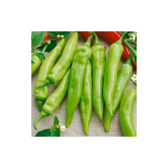 Pepper, Hungarian Sweet Wax 5,000 Seed Count