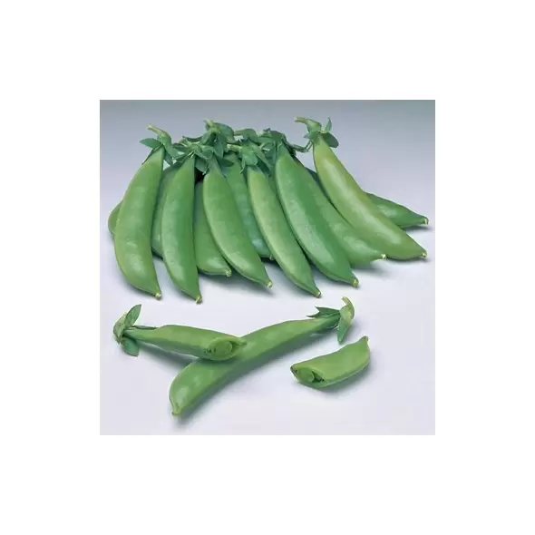 Peas, Sugar Sprint - 50lb