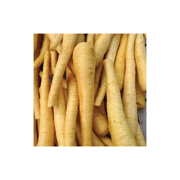 Parsnips, Hollow Crown - 1lb