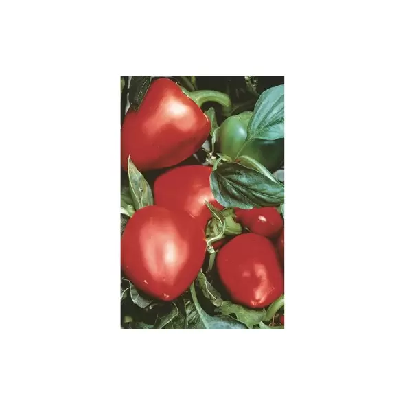 Peppers, Pimento - 1/2oz