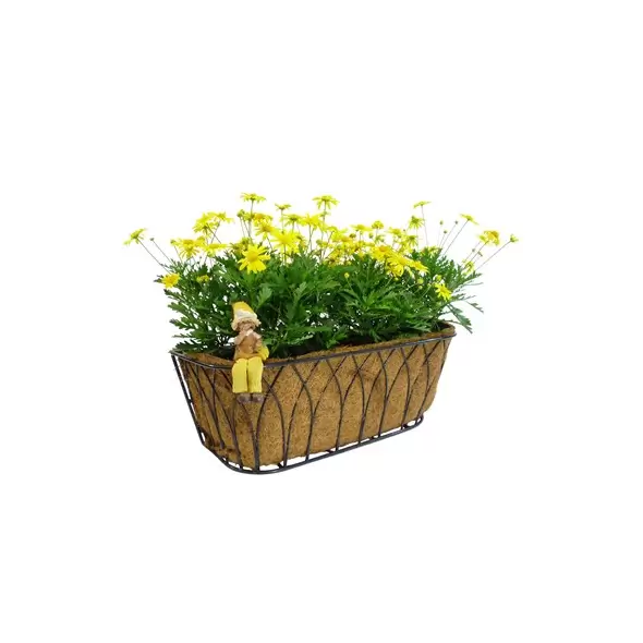 Austram 24" Lotus Trough Planter Black