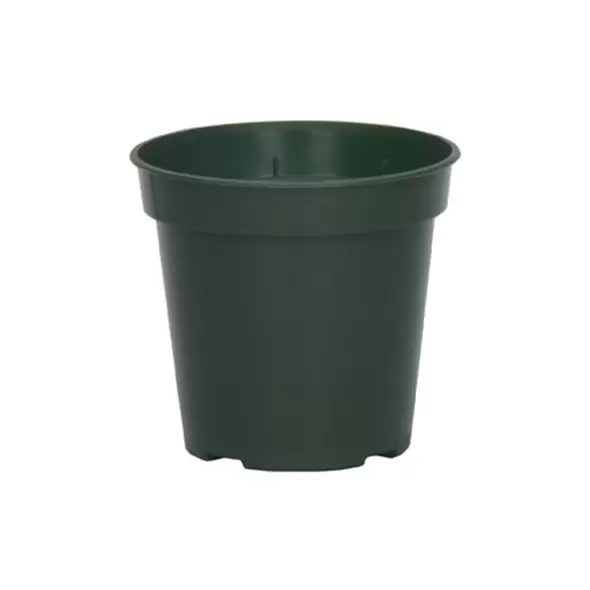 DLN 03.50 RND STD T/W TL 300GN 1225/CS 36CS/PL