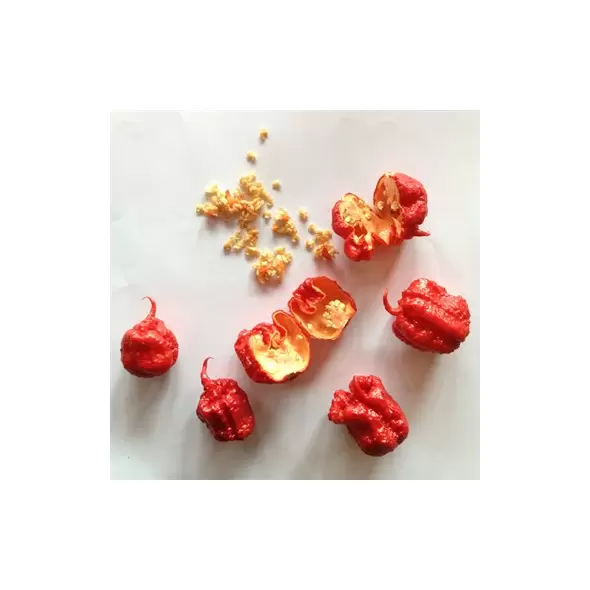Peppers, Carolina Reaper - 10,000 Seed Count