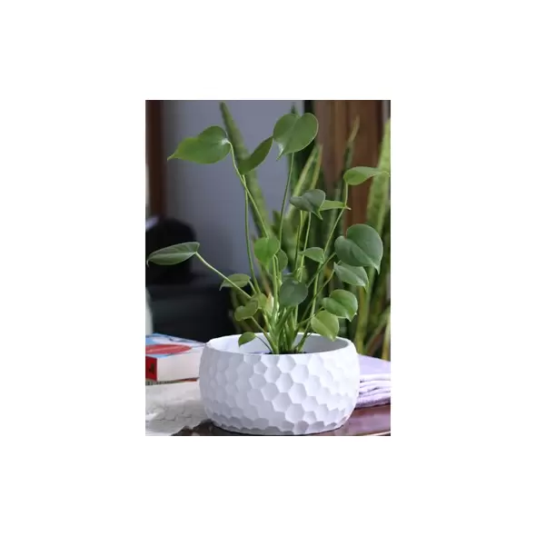 Fiesta Art 9" Decor Honeycomb Bowl