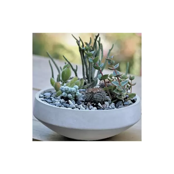 PHG 8"x3" Geometry Low Sphere Planter Polished Concrete