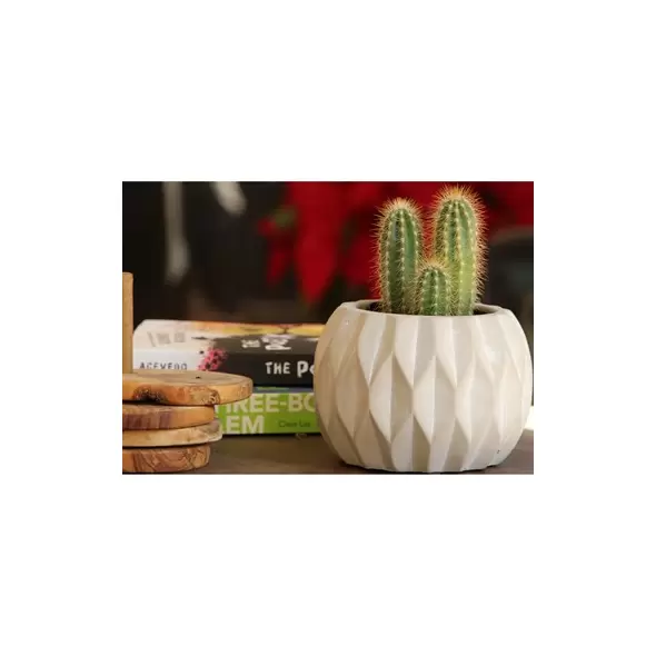 PHG 5.5"x3.5" Geometry Diamond Twirl Planter Polished Concrete