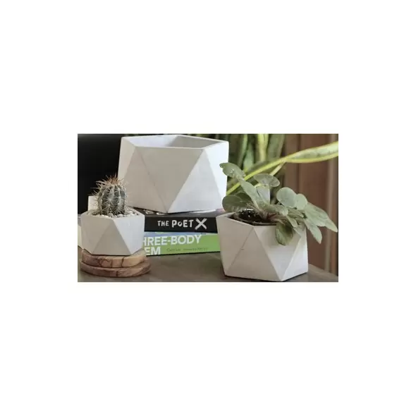 PHG 3.5"x2" Geometry Pentagon Planter Polished Concrete