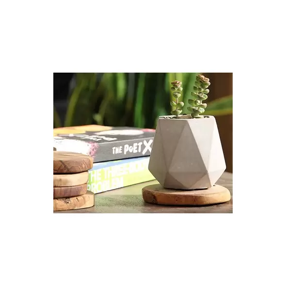 PHG 3"x3" Geometry Skyline Tumbler Planter Polished Concrete