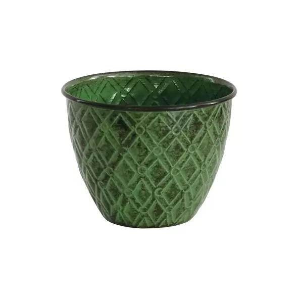 Robert Allen 5" Diamond Planter Kale