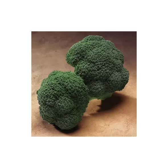 Broccoli, Gypsy 5,000 Seed Count