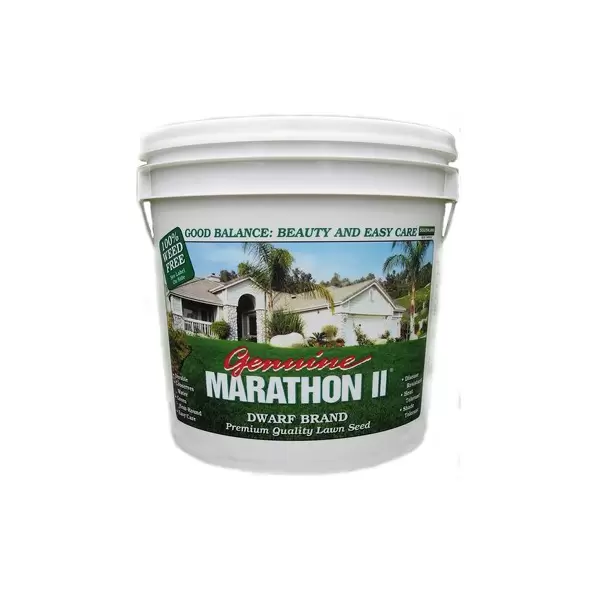 Marathon II Grass Seed 5