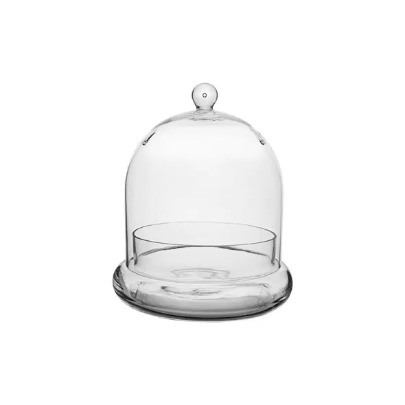 SSI 7" x 8 1/4" Terrarium Cloche