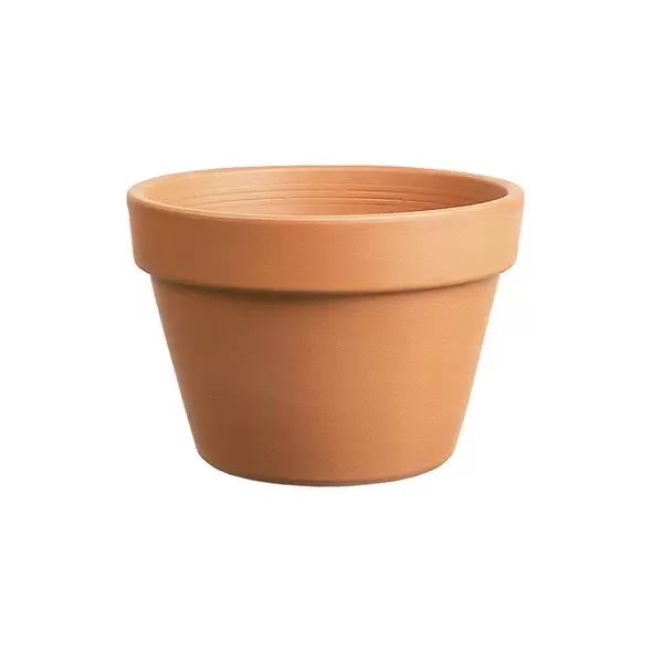 Southern Patio 6" Azalea Clay Pot
