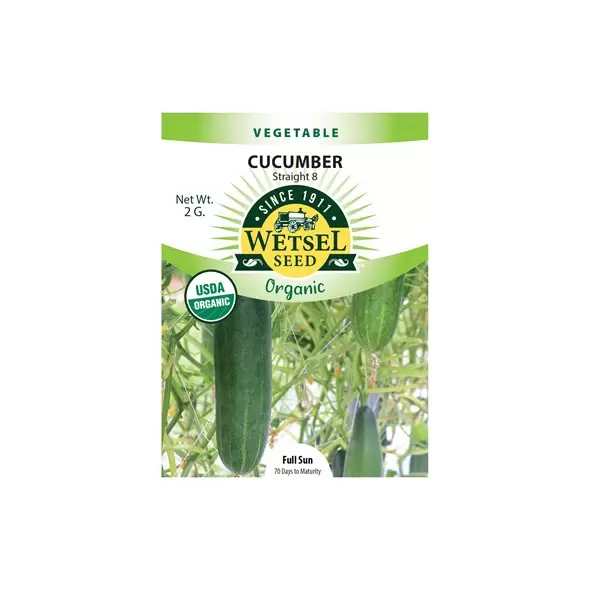 Organic Straight 8 Cucumber - 2 Gram