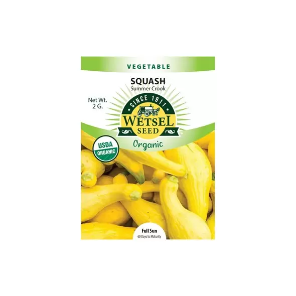 Organic Summer Crook Squash - 2 Gram