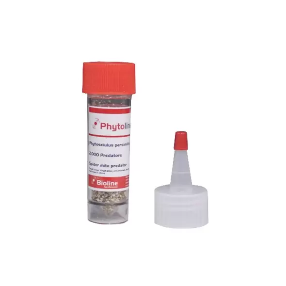 Phytoseiulus persimilis 2,"000 per "hot spot" vial. ( Spider Mite )