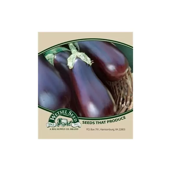 Eggplant, Black Beauty - 1oz