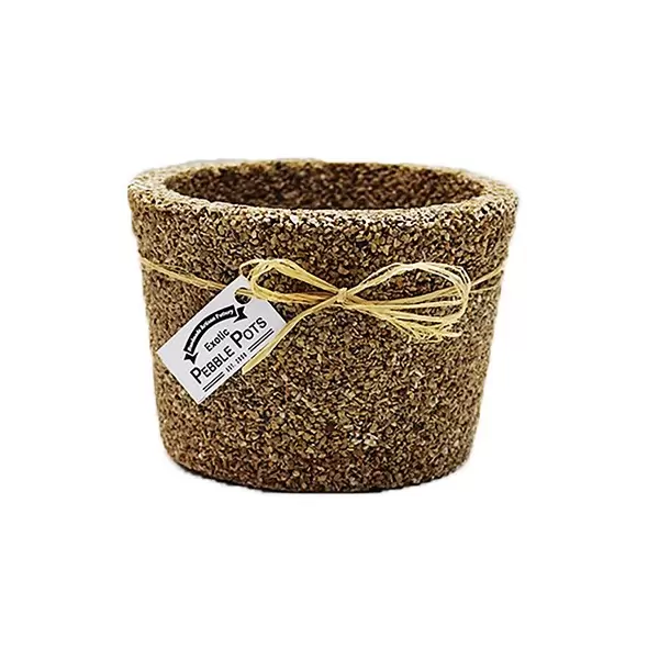 Exotic Pebbles Pots Brown 6" Cache