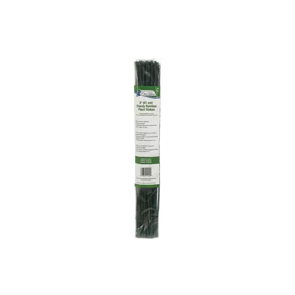 Gardener's Blue Ribbon 25pk 2' Bamboo 4-6mm Green