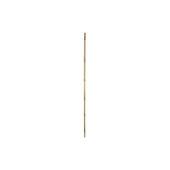 Gardener's Blue Ribbon Bulk 6'x1" Super Bamboo