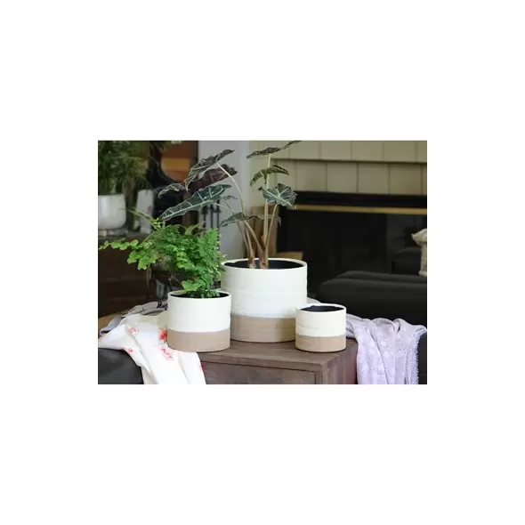 Jewel 6" Freeform Bowl Ivc