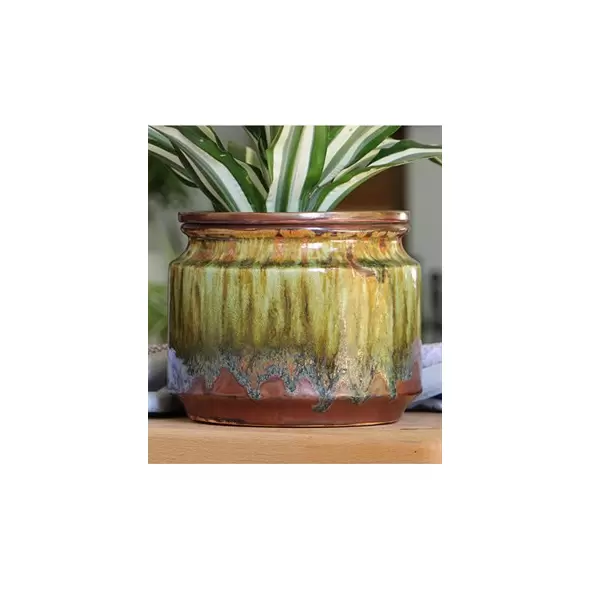 Jewel 4.5" Self Watering Pot Rnf