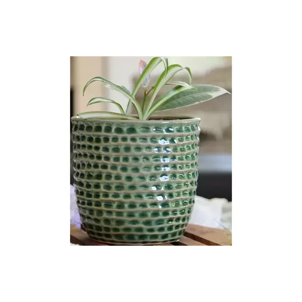 Palm Spring 5.5" Honey Comb Planter Emr