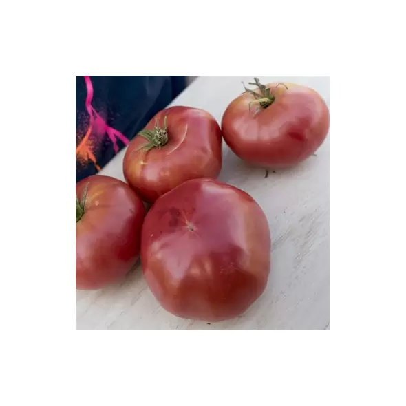 Tomato, Mortgage Lifter - 5,000 Seed Count