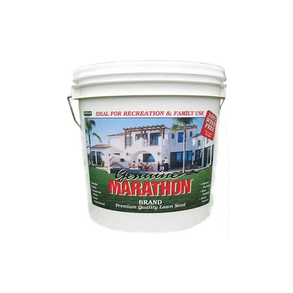 Marathon 1 Grass Seed 5