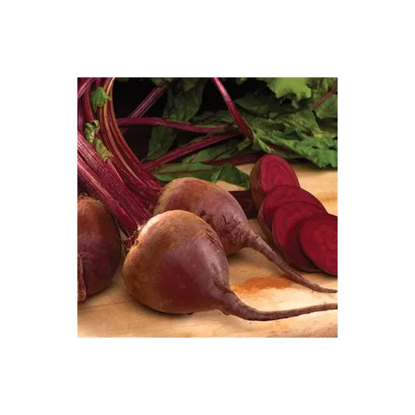 Beets, Lutz Red Stem 1/2oz