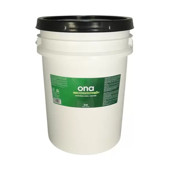 Ona Apple Crumble 20 Liter Gel