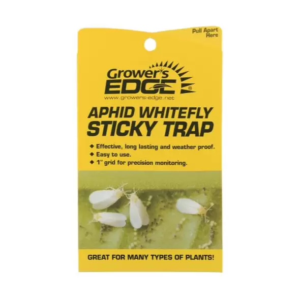 Grower's Edge Aphid Whitefly Sticky Trap 5/Pack (80/Cs)