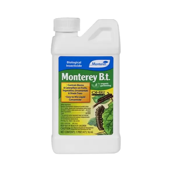 Monterey B.t. Pint (12/Cs)