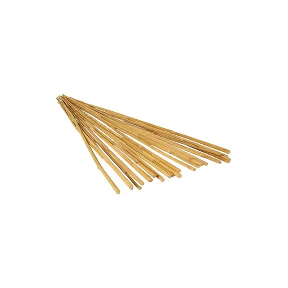 Bamboo Supply 8' Bamboo Stake 24-26mm Natural 50/BD