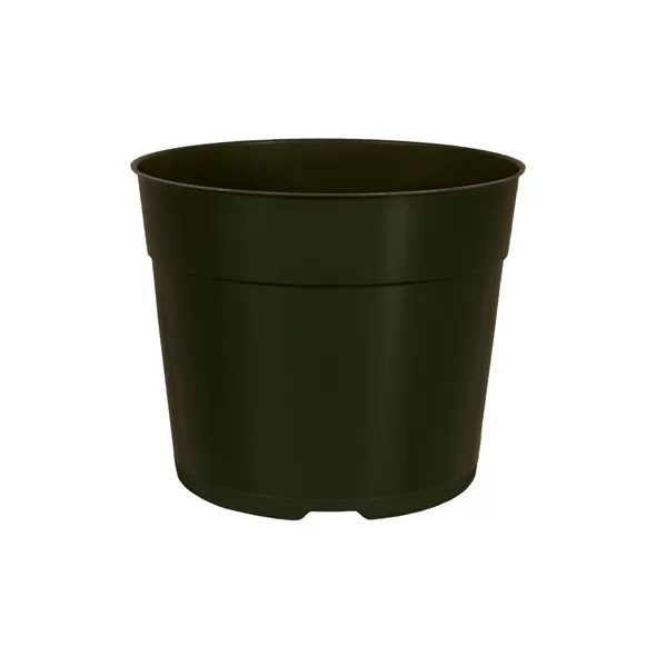 DLN 05.50 RND AZ TRAD T/W TX600 BLK 544/CS 30CS/PL