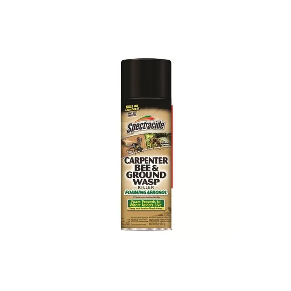 Spectracide 16oz Carpenter Bee & Ground Wasp Foam