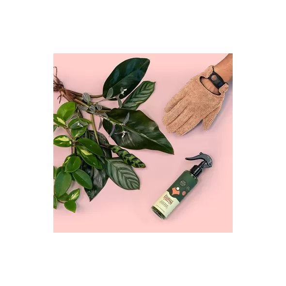 We the Wild Proud Plant Mum Leaf Care Kit