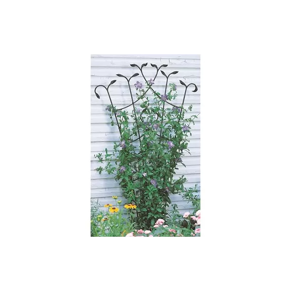 Panacea 80" Black Forged Fan Trellis With Leaves