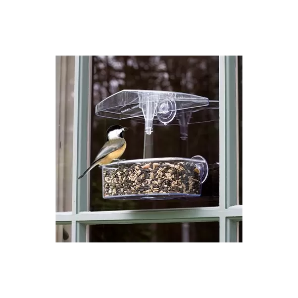 Droll Yankee 7"x3"x2" Observer Window Feeder