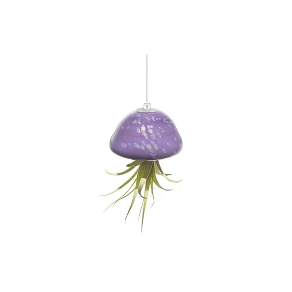 APM Air Plant Jellyfish Purple/Gold