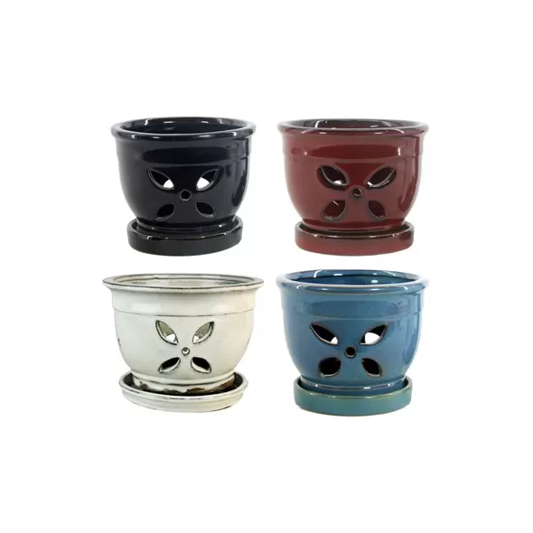 MCarr 12PC 5.5" 4 Petal Orchid Pot Mix Asst