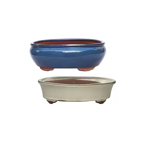 MCarr 2PC 14.6" Bonsai Planter Set Mixed Colors