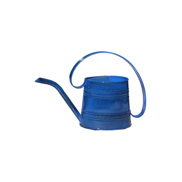 Robert Allen Oceanside Watering Can
