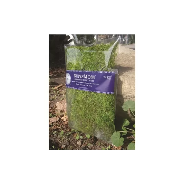 SuperMoss 16oz Forest Moss Preserved Fresh Green