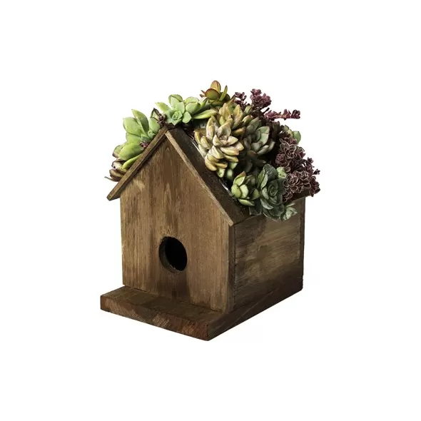 SuperMoss Large Birdhouse Plantable Jade