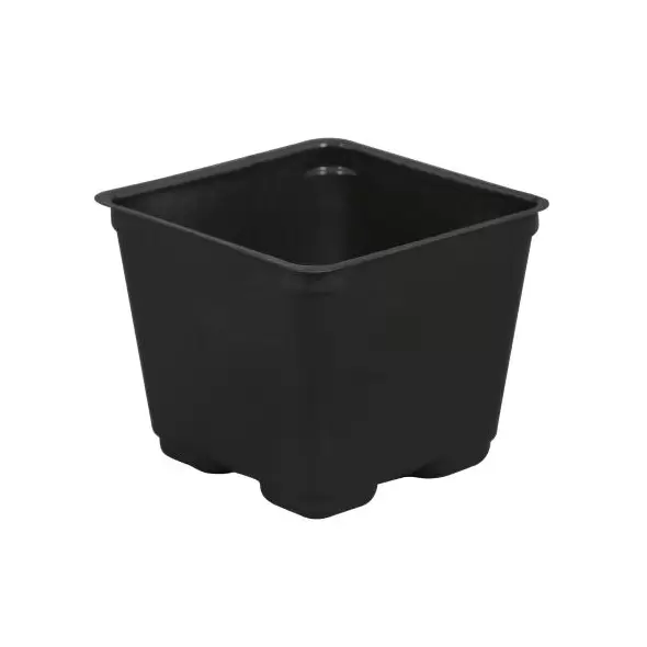 Gro Pro Square Plastic Pot Black 4 in (880/Cs)